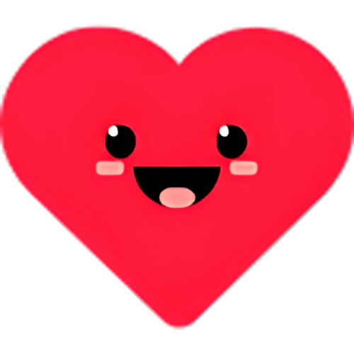 100% Customer Satisfaction